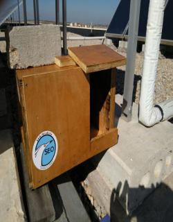 Caja-nido instalada